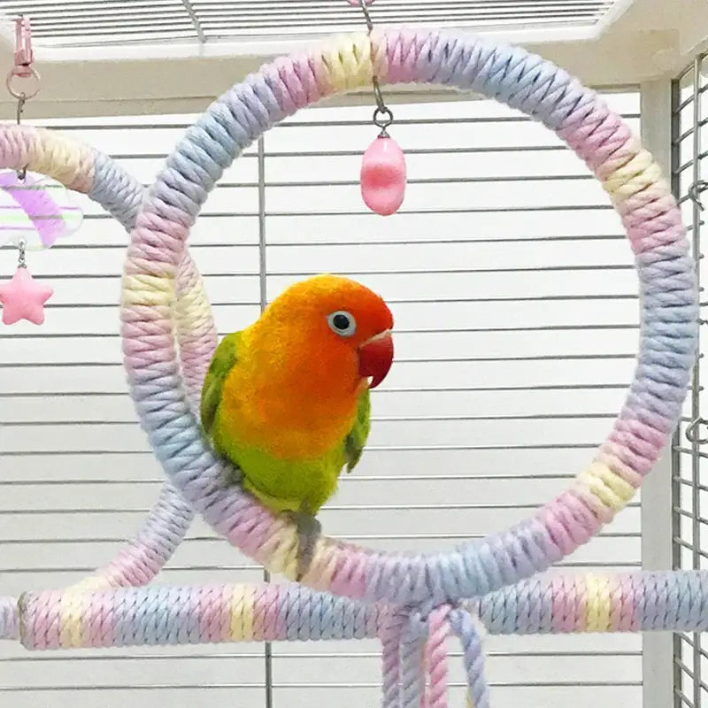 Polo de Algodão colorido para Pássaros I Caprioli Inter Casinha Para Aves Pequenas