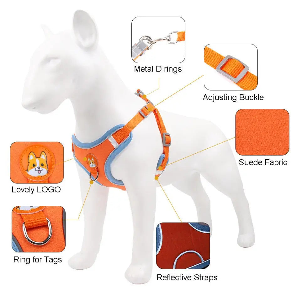 Conjunto de Coleira Peitoral Ajustável para Cães e Gatos – Resistente Leve | Caprioli Shop coleiras
