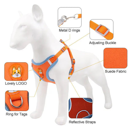 Conjunto de Coleira Peitoral Ajustável para Cães e Gatos – Resistente Leve | Caprioli Shop coleiras