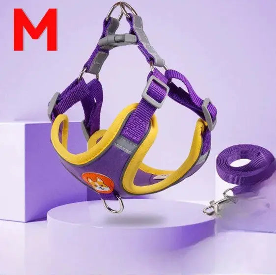Conjunto de Coleira Peitoral Ajustável para Cães e Gatos – Resistente Leve | Caprioli Shop coleiras Roxo,M/3 7 Kg