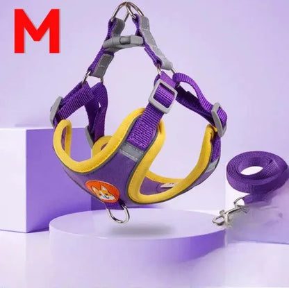 Conjunto de Coleira Peitoral Ajustável para Cães e Gatos – Resistente Leve | Caprioli Shop coleiras Roxo,M/3 7 Kg