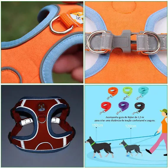 Conjunto de Coleira Peitoral Ajustável para Cães e Gatos – Resistente Leve | Caprioli Shop coleiras