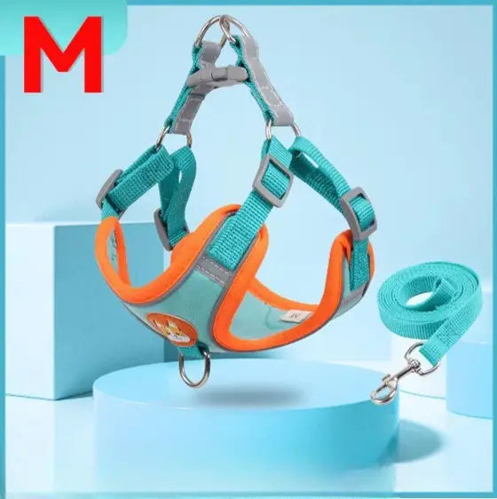 Conjunto de Coleira Peitoral Ajustável para Cães e Gatos – Resistente Leve | Caprioli Shop coleiras Azul Turquesa,M/3 7