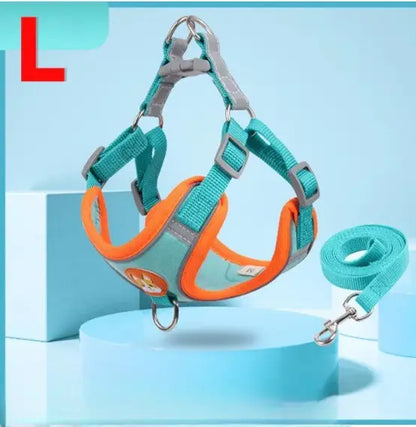 Conjunto de Coleira Peitoral Ajustável para Cães e Gatos – Resistente Leve | Caprioli Shop coleiras Azul Turquesa,L/7