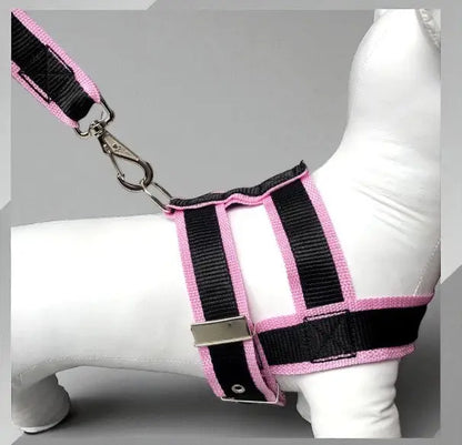 Conjunto Peitoral com Guia de Nylon Duplo Resistente para Cães Grandes | Caprioli Shop peitorais cachorro Rosa / 5