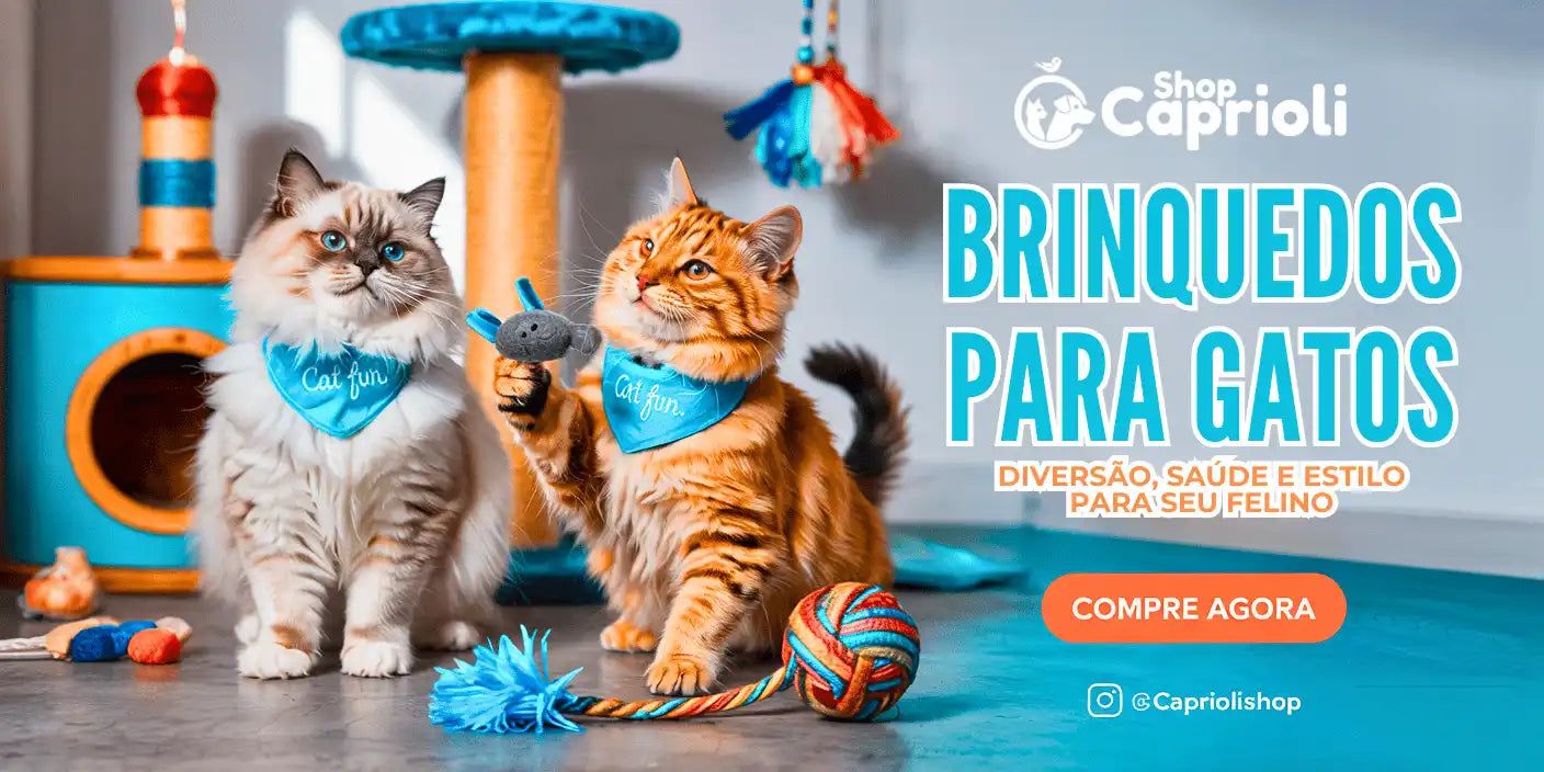 Dois gatos domésticos modelando brinquedos para pets.