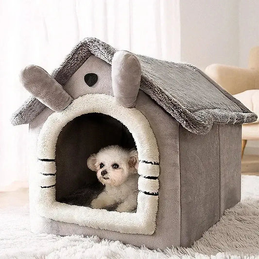 Casa Cartoon para Cães e Gatos Pequenos Médios I Caprioli Shop cachorro
