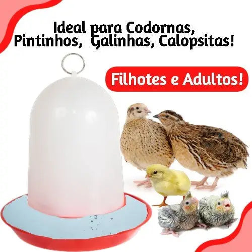 Kit comedouro e bebedouro automático para aves | Caprili Shop - passaros