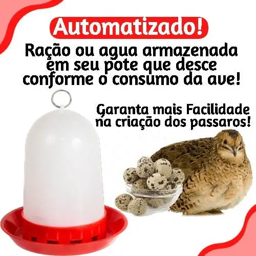 Kit comedouro e bebedouro automático para aves | Caprili Shop - passaros