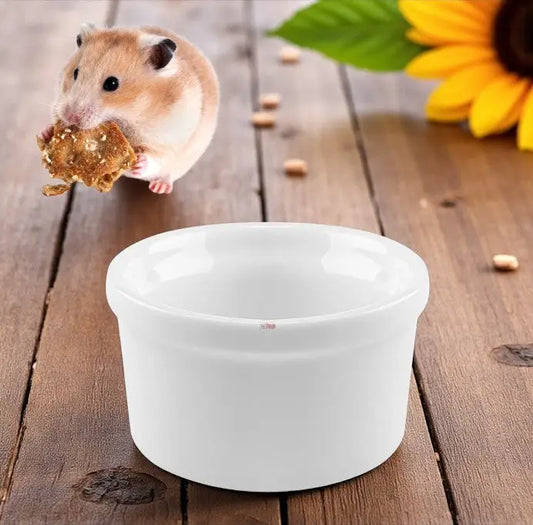 Kit comedouro e bebedouro de porcelana para roedores | Caprili Shop