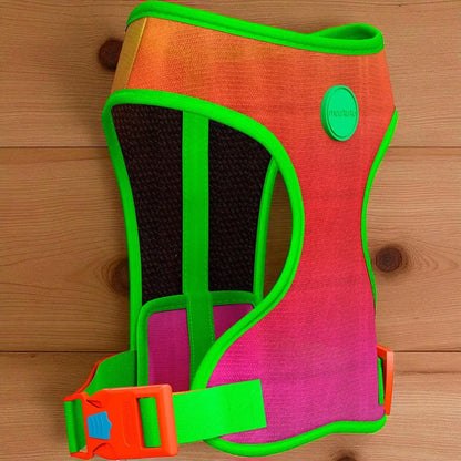 Peitoral para Cachorro Estampado Regulável com Guia Grátis | Caprioli Shop peitorais cachorro citrus / PP