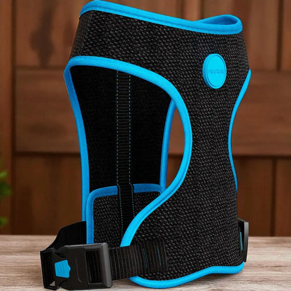 Peitoral para Cachorro Estampado Regulável com Guia Grátis | Caprioli Shop peitorais cachorro neon azul / PP