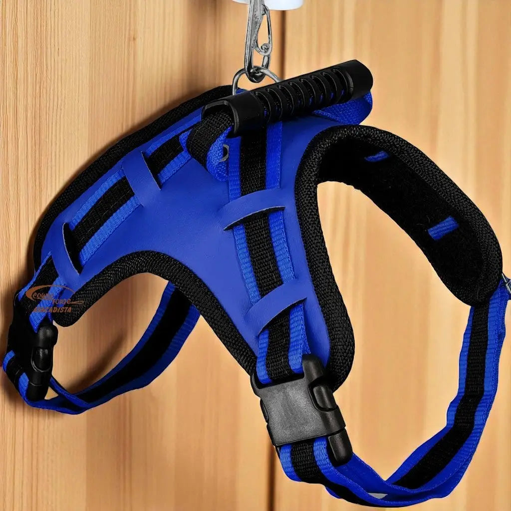 Peitoral com Guia Ajustável para Cães Médios e Grandes | Caprioli Shop peitorais cachorro Azul / P