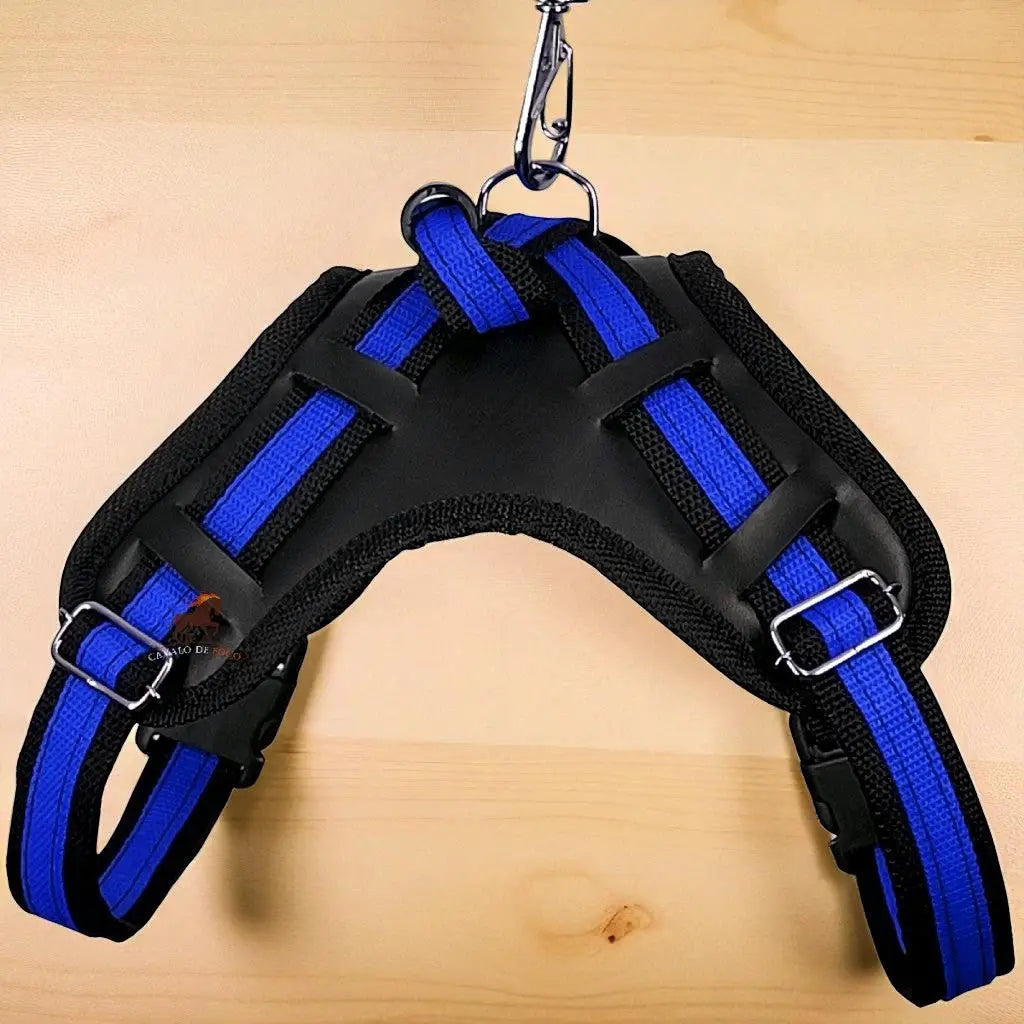 Peitoral com Guia Ajustável para Cães Médios e Grandes | Caprioli Shop peitorais cachorro Peto Azul / P
