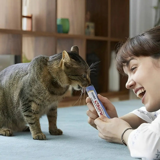 Petisco para Gatos Churu - 4 unidades 14 G | Caprili Shop - petiscos gatos