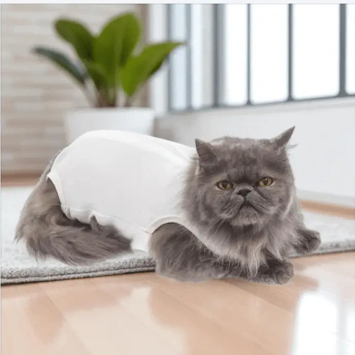 Roupa Cirúrgica Unissex para Gatos Conforto Premium | Caprioli Shop roupas e acessórios gatos N°1