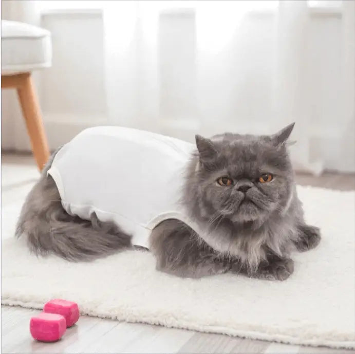 Roupa Cirúrgica Unissex para Gatos Conforto Premium | Caprioli Shop roupas e acessórios gatos N°3