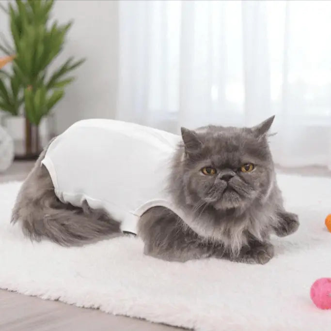 Roupa Cirúrgica Unissex para Gatos Conforto Premium | Caprioli Shop roupas e acessórios gatos N°4
