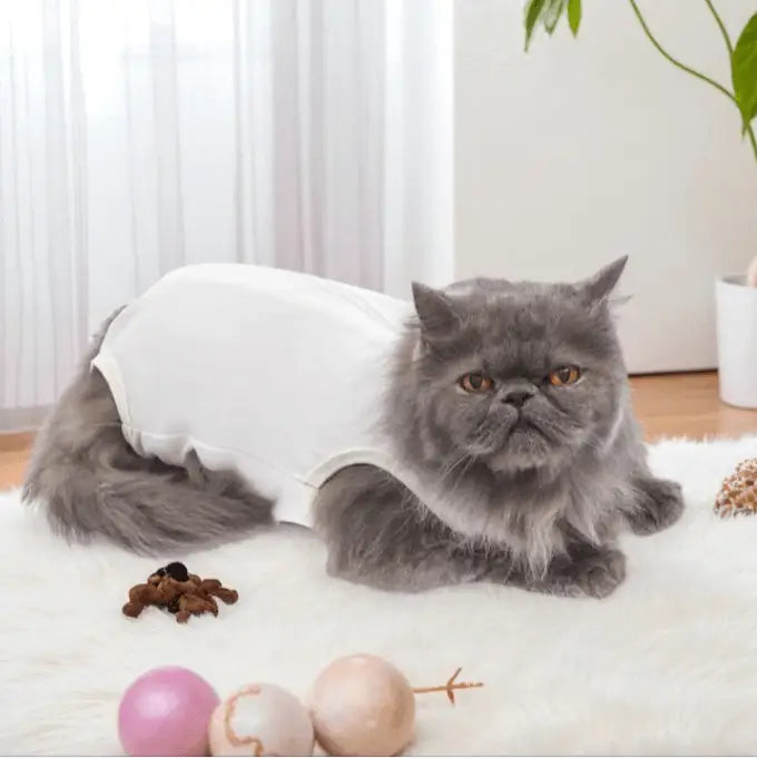 Roupa Cirúrgica Unissex para Gatos Conforto Premium | Caprioli Shop roupas e acessórios gatos N°5