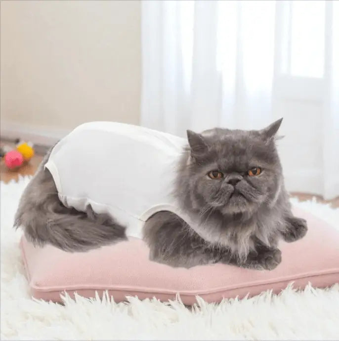 Roupa Cirúrgica Unissex para Gatos Conforto Premium | Caprioli Shop roupas e acessórios gatos N°6