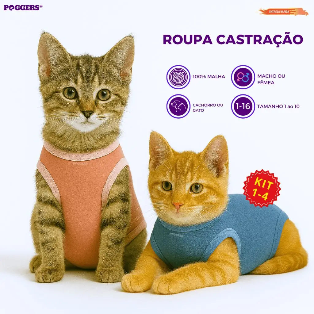 Roupa Protetora Pós Castração para Gatos Conforto e Estilo | Caprioli Shop roupas acessórios gatos