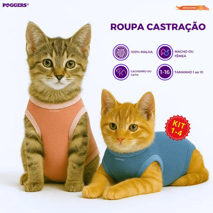 Roupa Protetora Pós Castração para Gatos Conforto e Estilo | Caprioli Shop roupas acessórios gatos