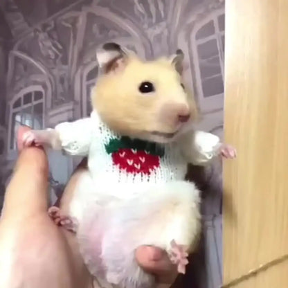 Roupas pequenas para Hamster - Aquecimento e fofura | Caprili Inter - roupa acessorio roedores