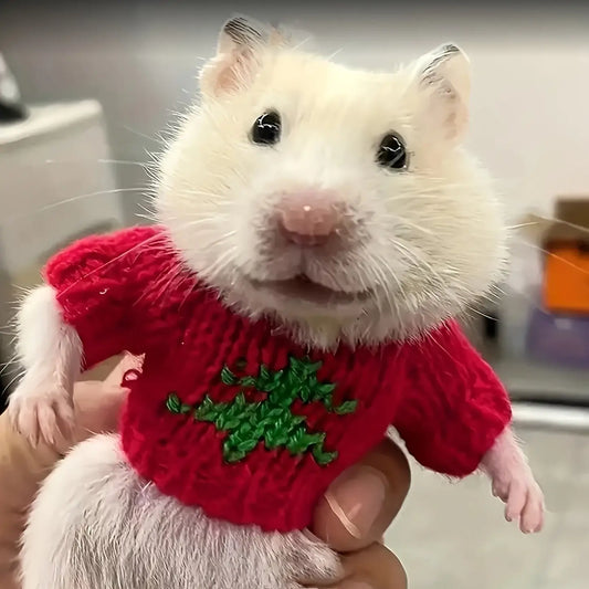 Roupas pequenas para Hamster - Aquecimento e fofura | Caprili Inter - roupa acessorio roedores