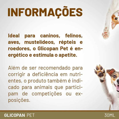 Suplemento Glicopan Pet 30ml Vetnil Vitaminas Aminoácidos Apetite l Caprioli Shop medicamentos para cachorro